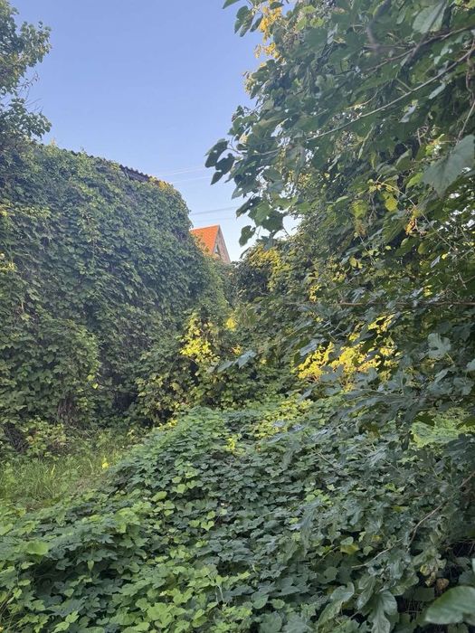 Благоустрий работы на участке  обрезка спил деревьев розчистка корчева