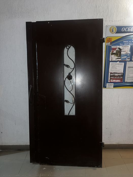 Металеві двері (вхідна група)