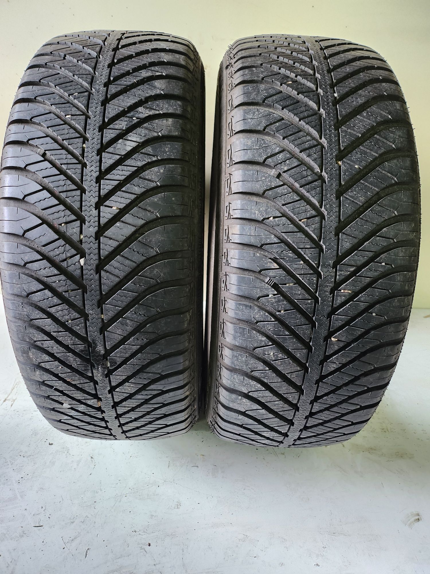 205/55/16 94H Goodyear 4seasons para opon wielosezonowych 2szt