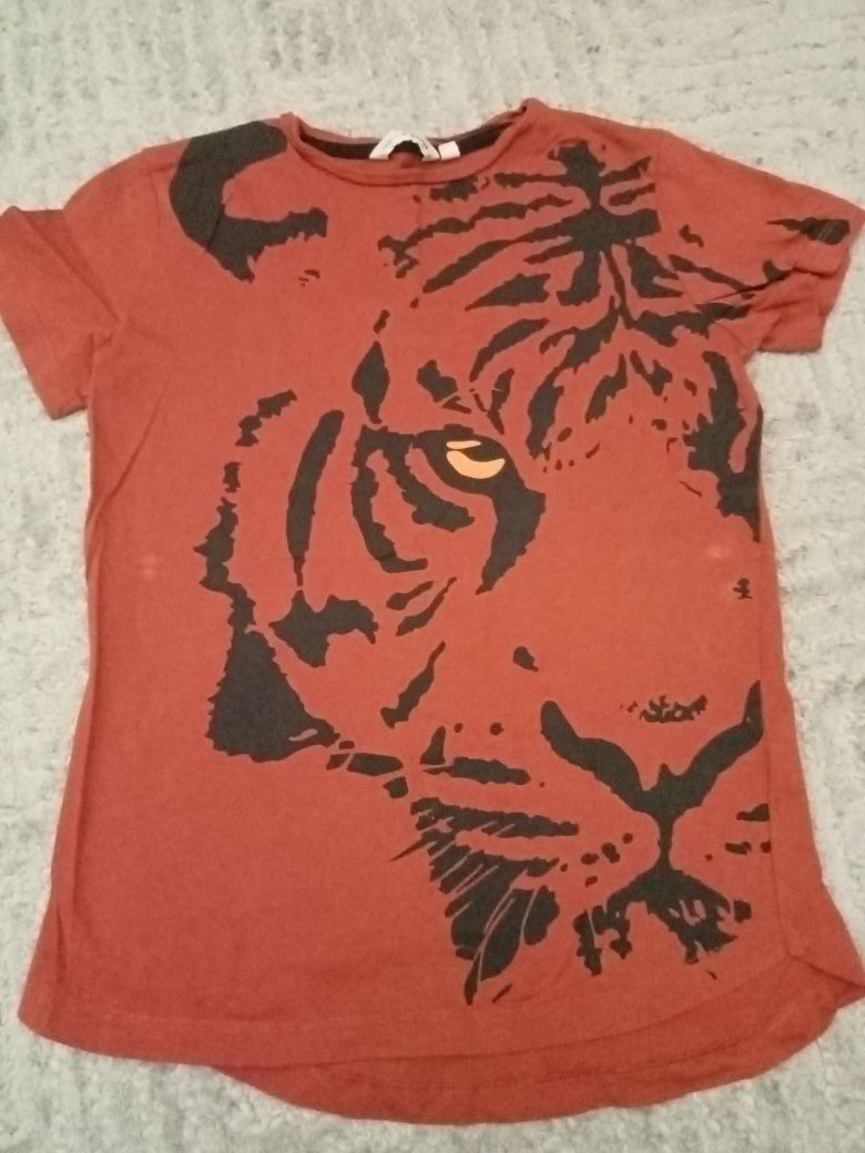 T shirt KappAhl, 134/140 cm, chlopiec