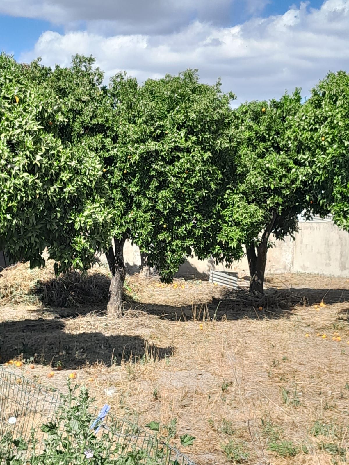 Lote para construção em Grândola
