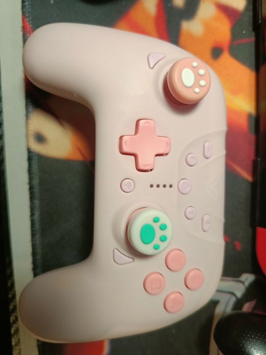 Pad Nintendo Switch