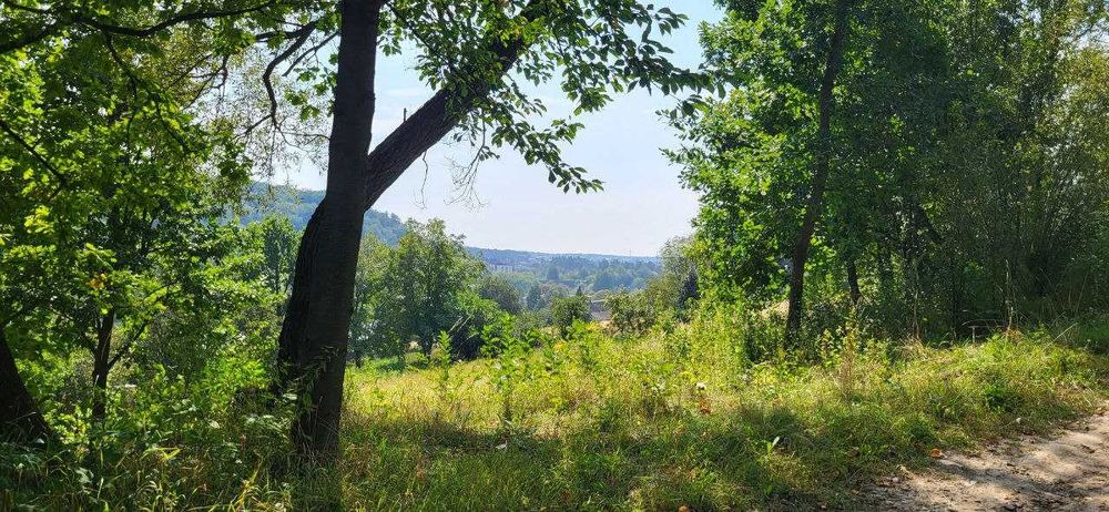 Продаж двох суміжних ділянок в Брюховичах, ліс, чудовий краєвид !