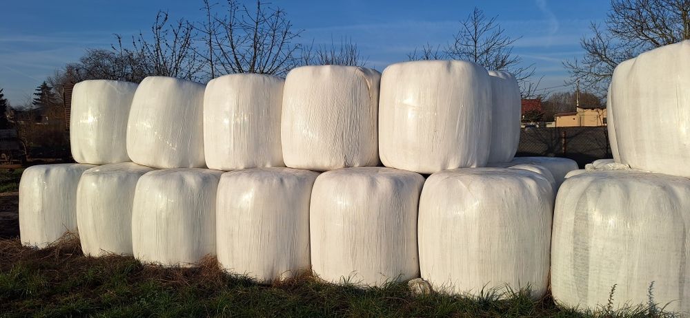 Siano , Sianokiszonka