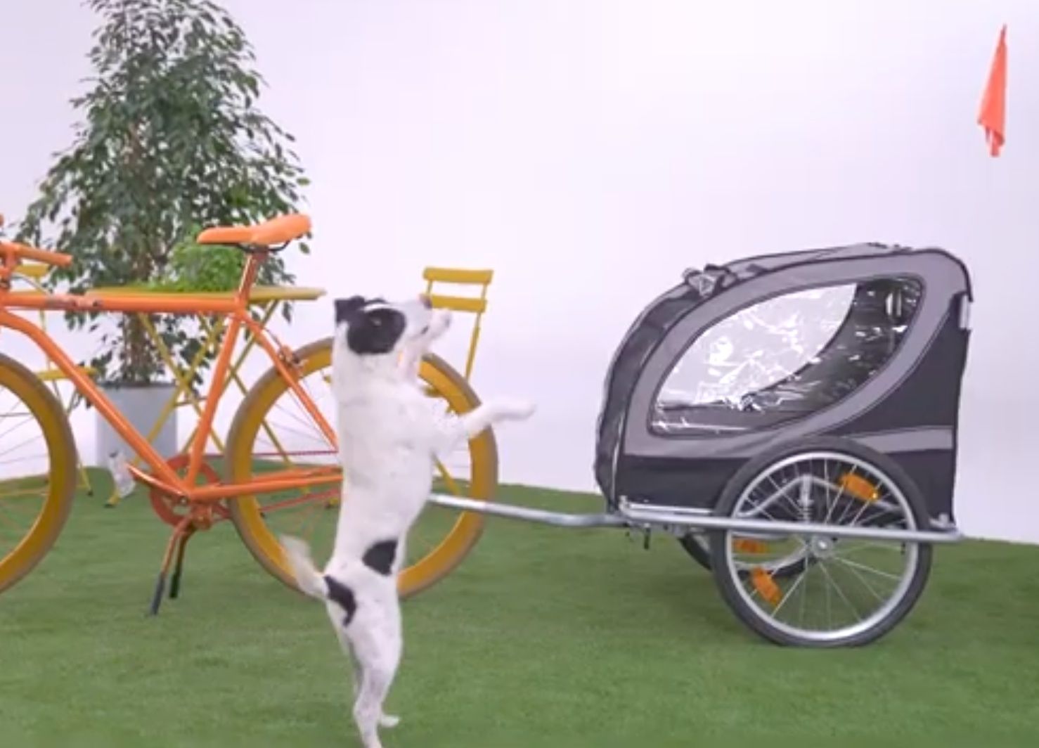 Przyczepka rowerowa No Limit Doggy Liner Paris de Luxe