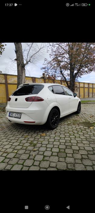 Seat Leon Zadbany