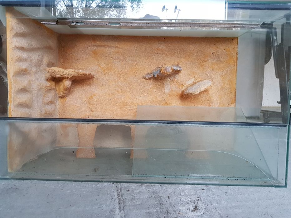 Terarium szklane
