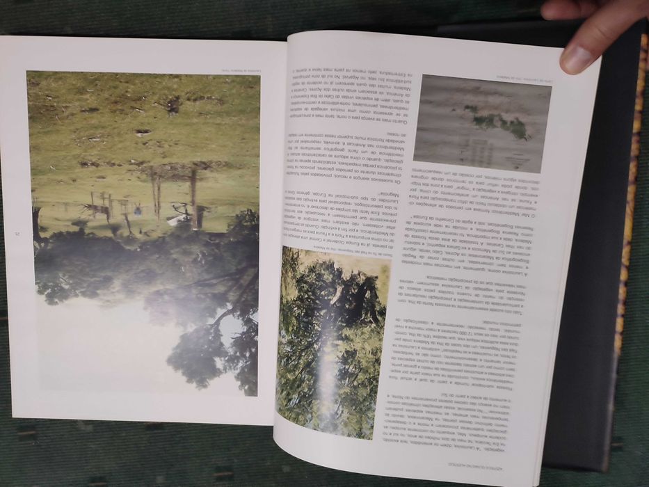 Azeite e Olivais no Alentejo