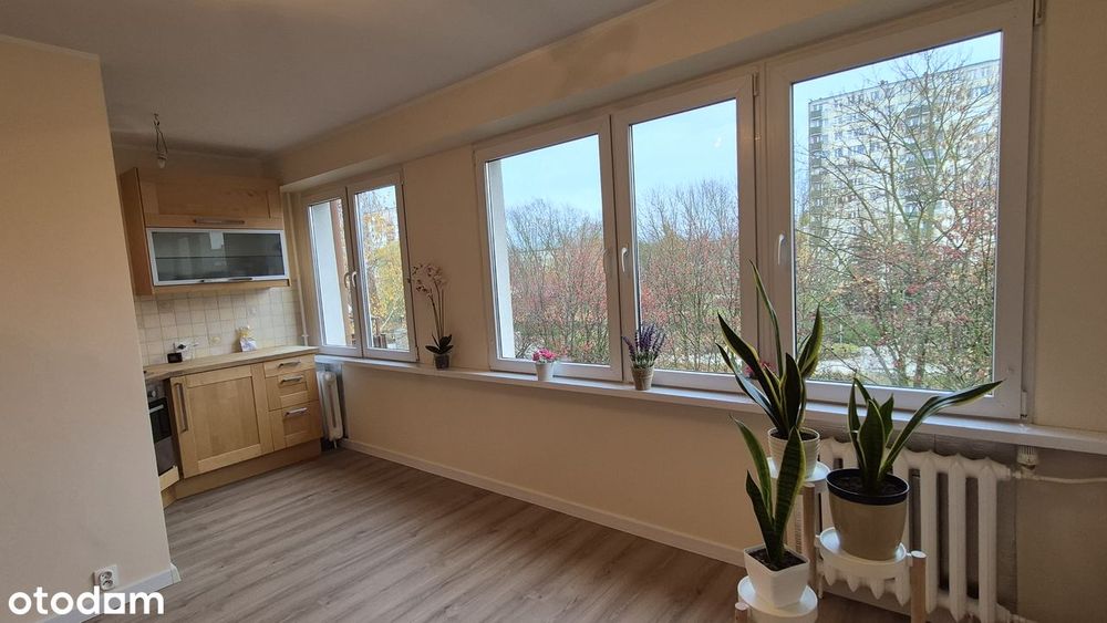 32 m2, 2-pokoje, Płock, os. Tysiąclecia - po remoncie, bezpośrednio