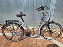 Rower Cossack Custom