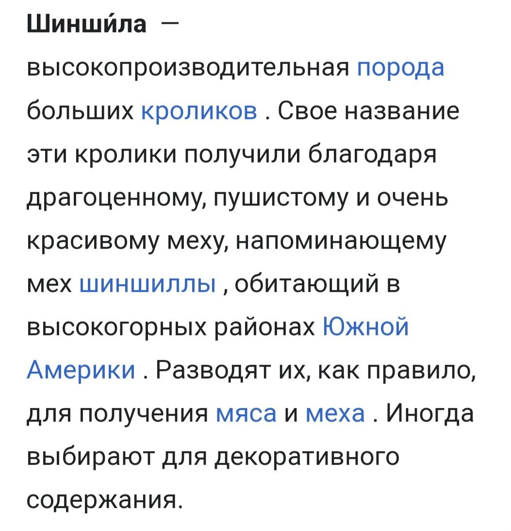 Кролики шиншиловые