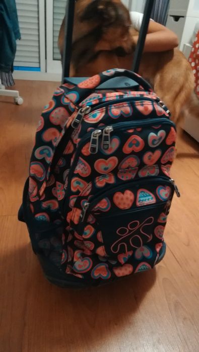 Mochila trolley Totto rapariga