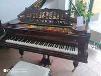 fortepian brązowy C. Bechstein 1890 rok, idealny,
