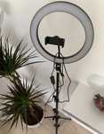 Ring Light com Tripé Extensível Até 160 cm - Anel 26cm [NOVOS]