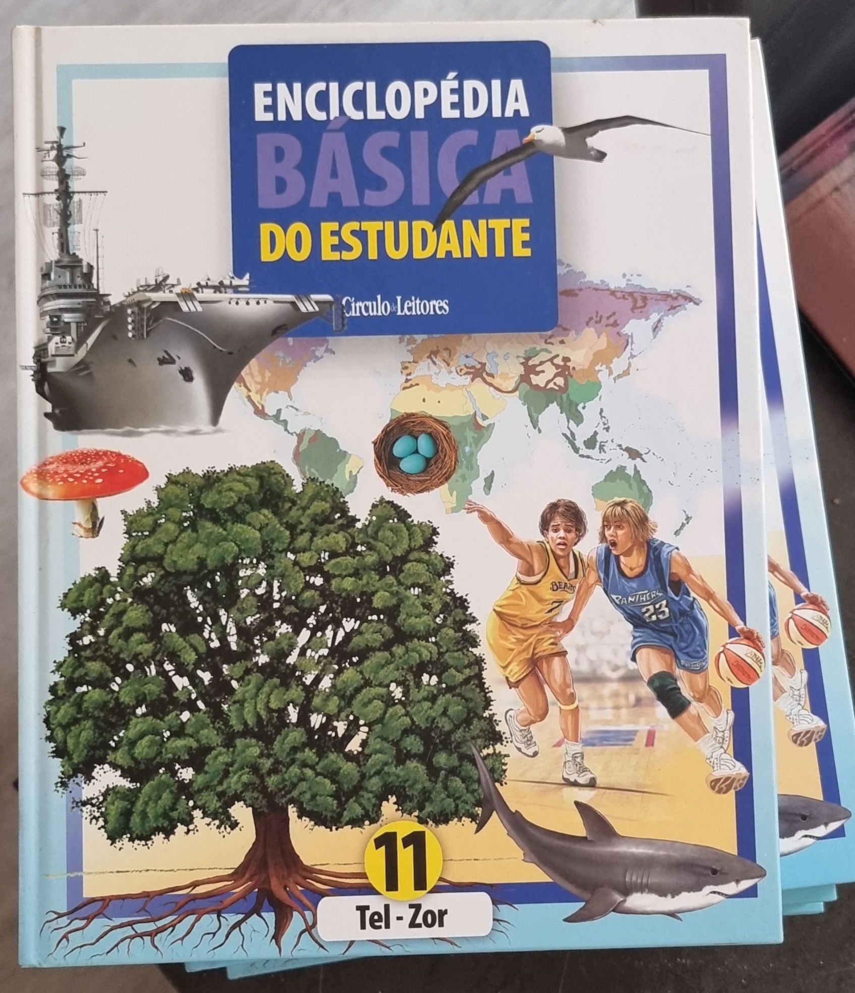 Enciclopédia Básica do Estudante