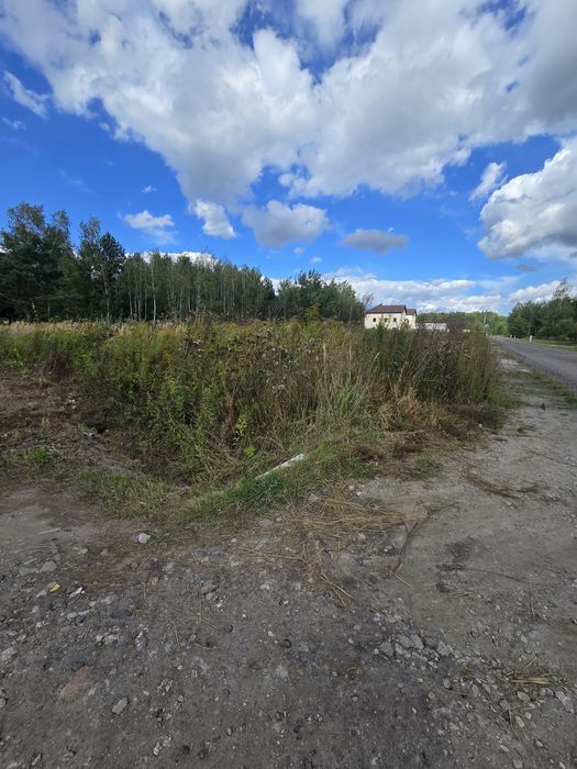 Koparki mini uslugi ziemne  i ogrodnicze wycinki karczowanie rębak