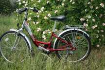 Rower Unibike Princess 24''