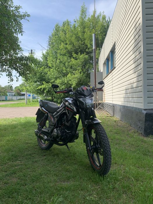 musstang fortuna 200-9