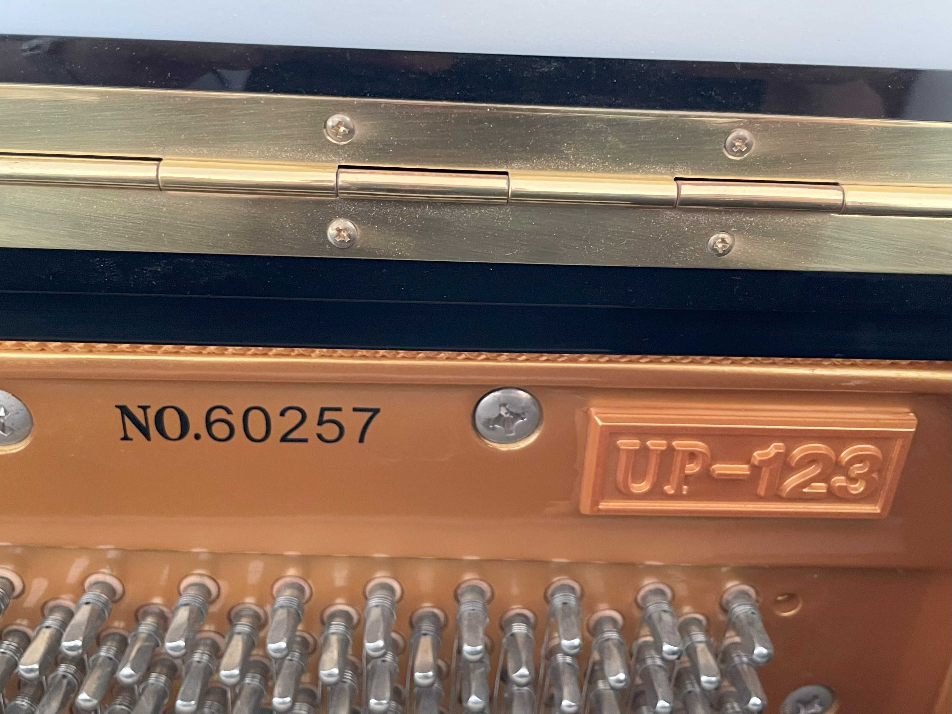 Piano Carl Reutner - comprado em 2008