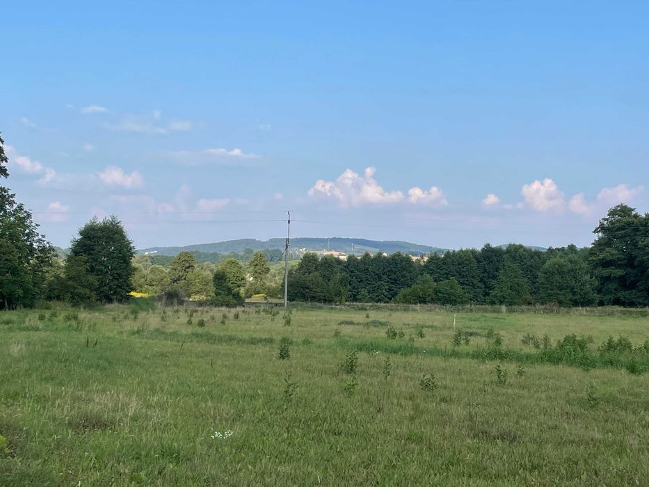 Działka +dom 1,20 ha trasa Wadowice-Zator całość inwestycyjno-usługowa