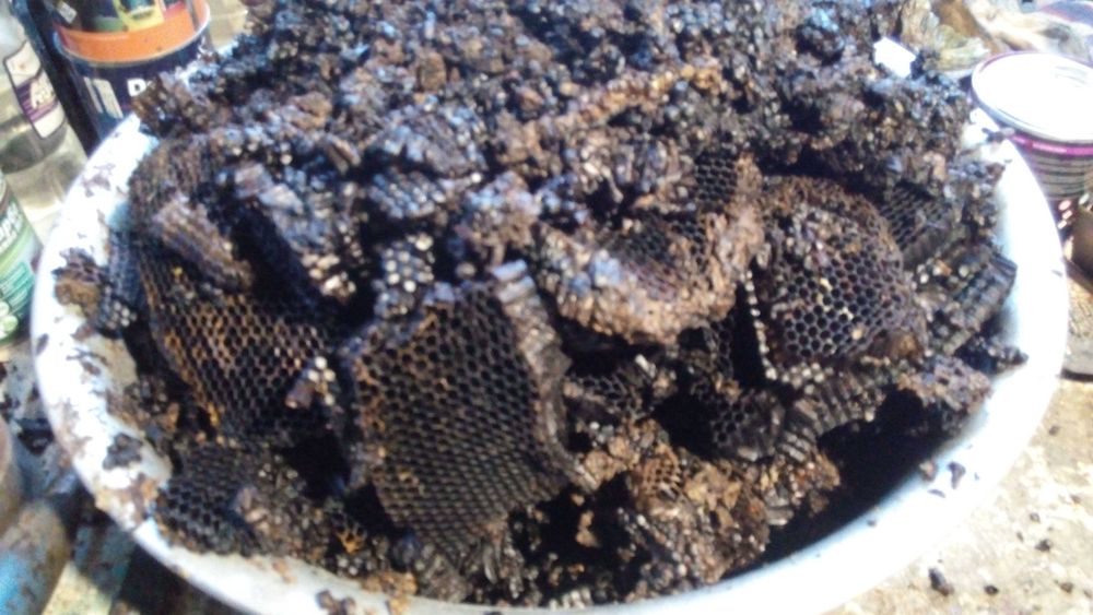 Мерва пчелиная 2025 года.