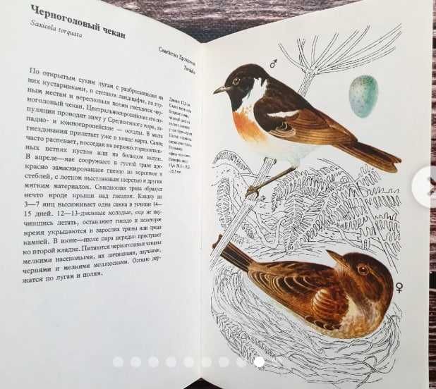 Иржи Феликс. Птицы садов, парков и полей