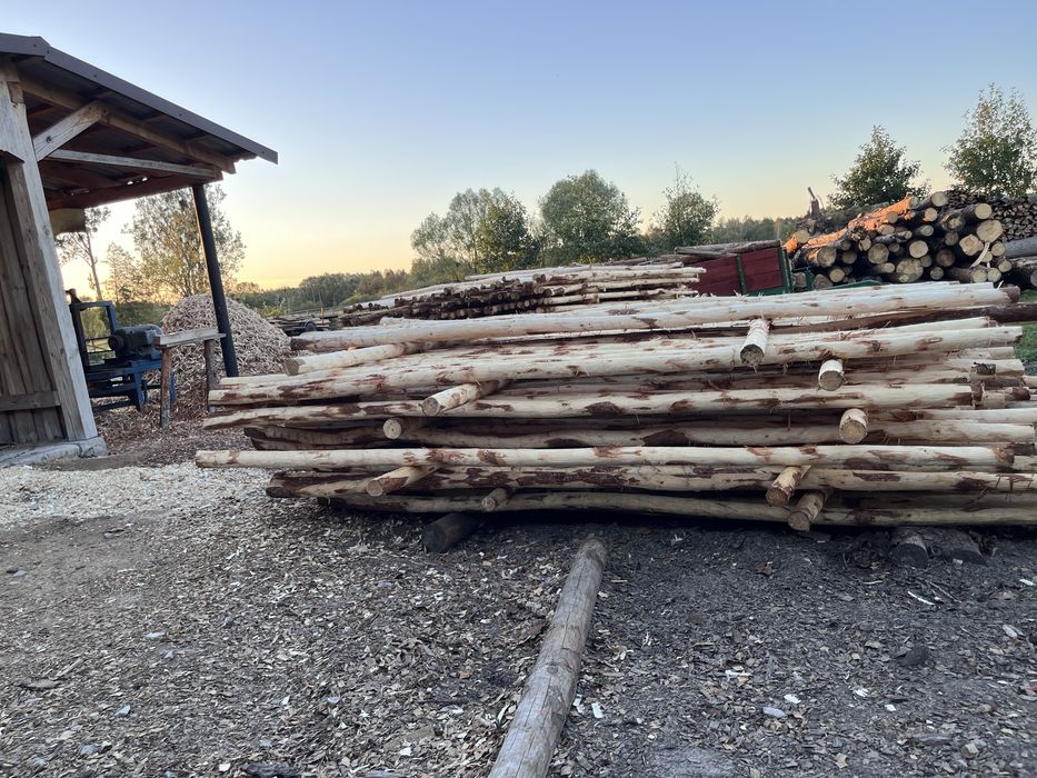 Kolki wolnostojace do drzewek 3 metrowe