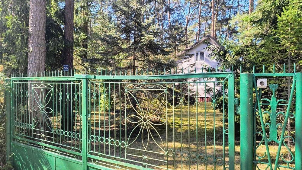 Działka leśna z domem w Sokolnikach- las