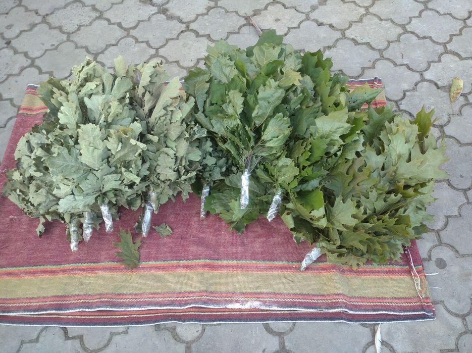 Продам віники (набір ) для лазні (бані , сауни).