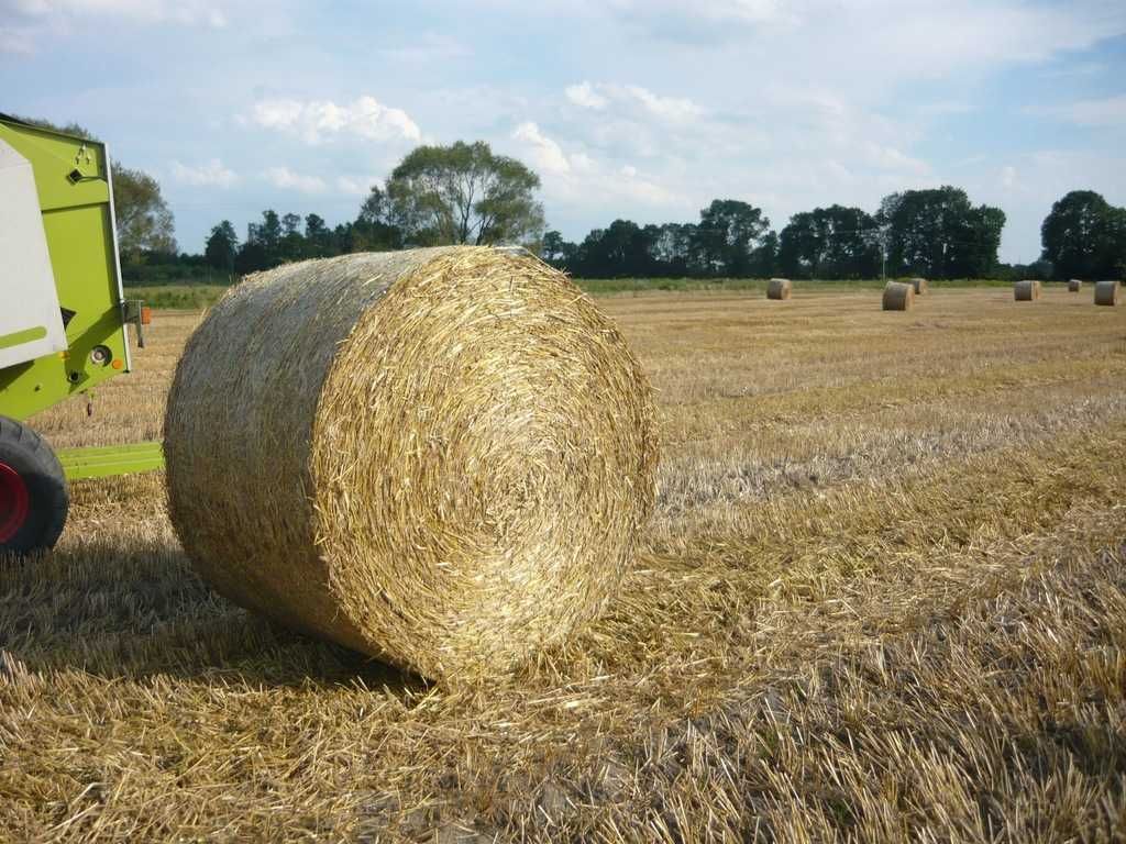 Sprzedam bale słomy