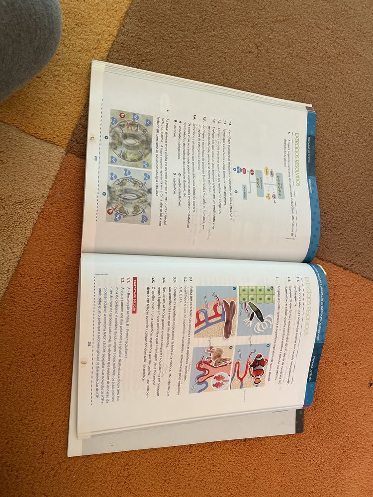 Livro de biologia e geologia 10