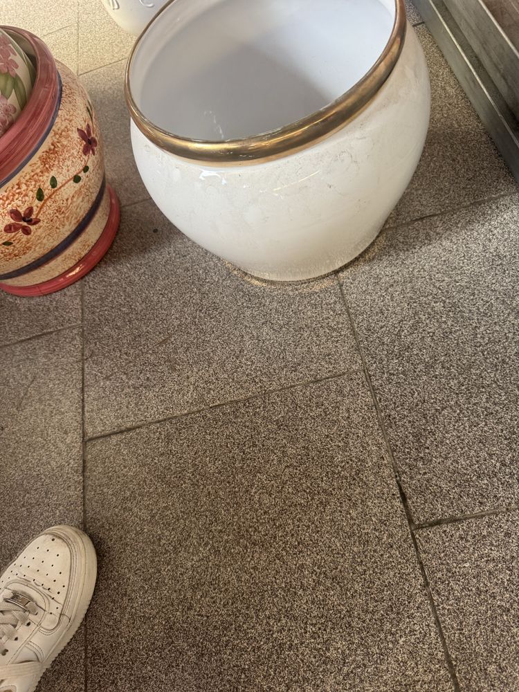 Vasos de planta