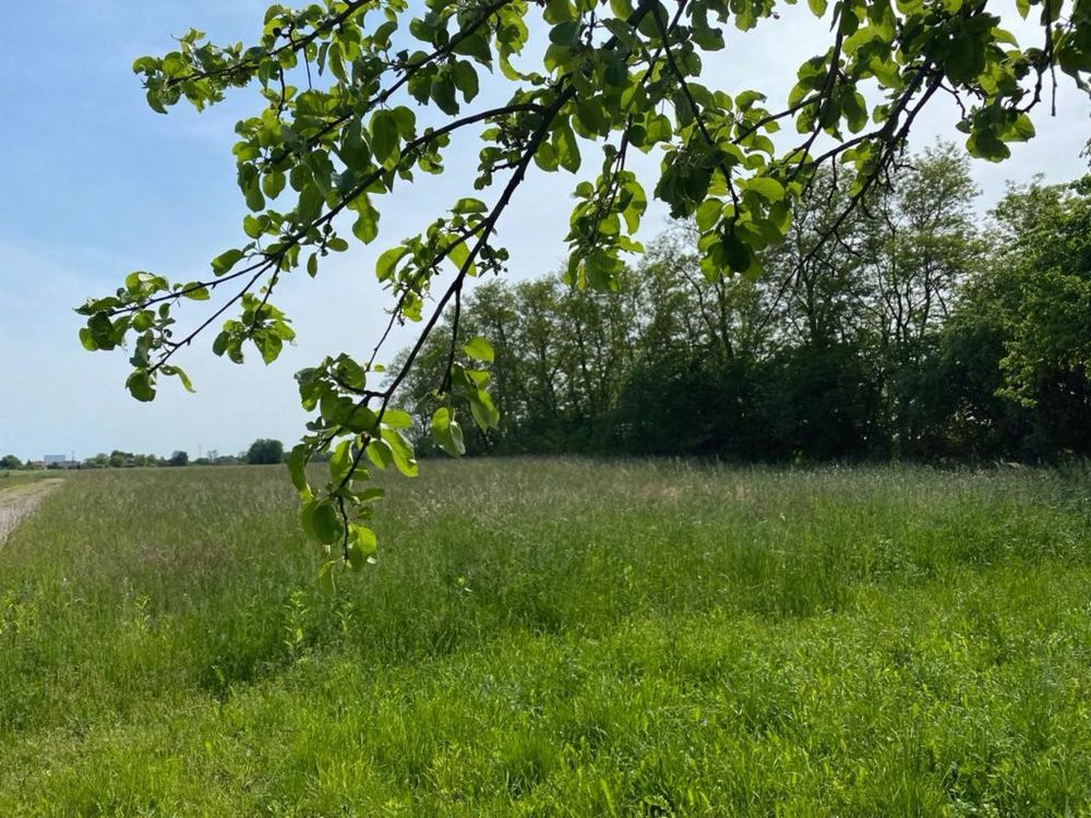 Atrakcyjne działki na sprzedaż