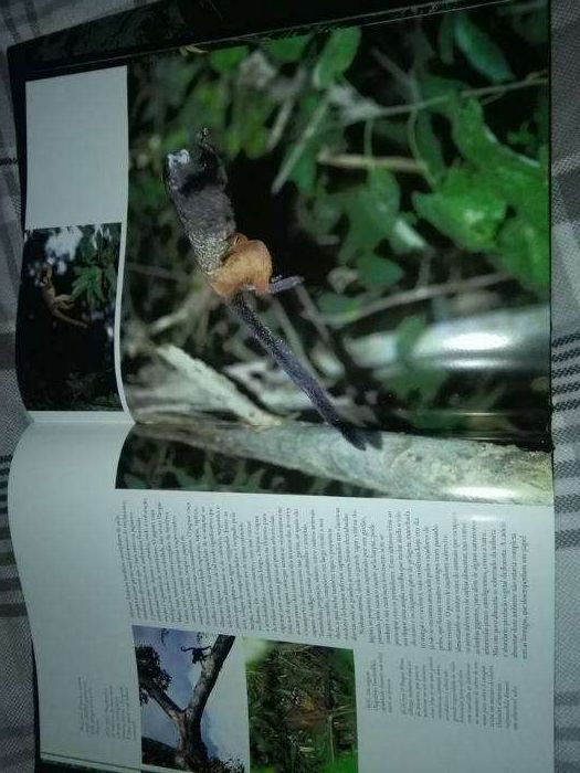 6 livros da Natureza selvagem