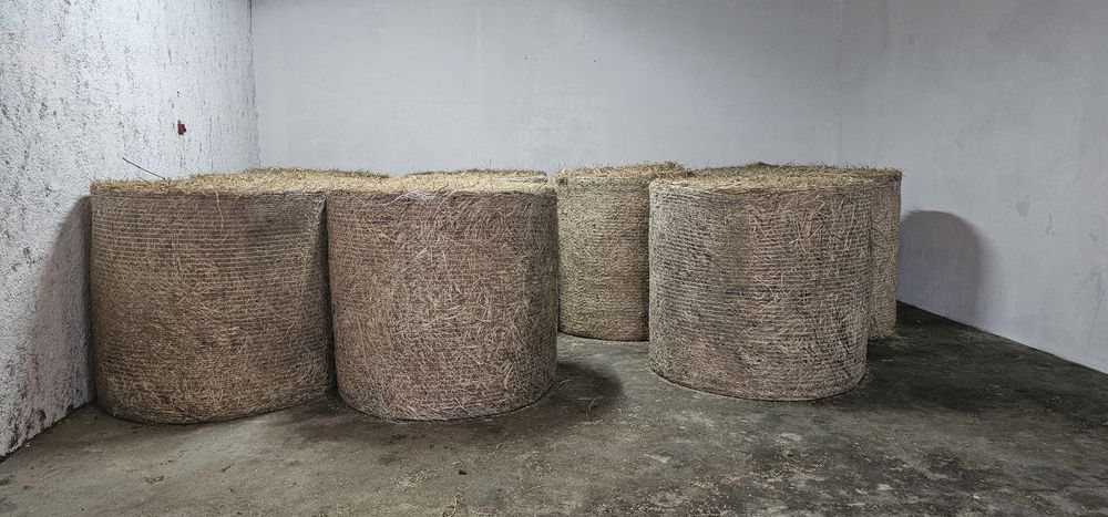 Rolo de palha selvagem