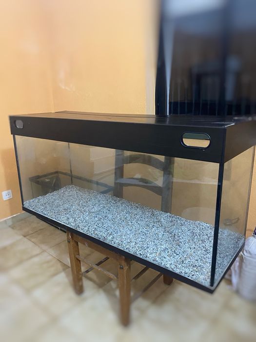 terrário e aquário com filtro de limpeza de água