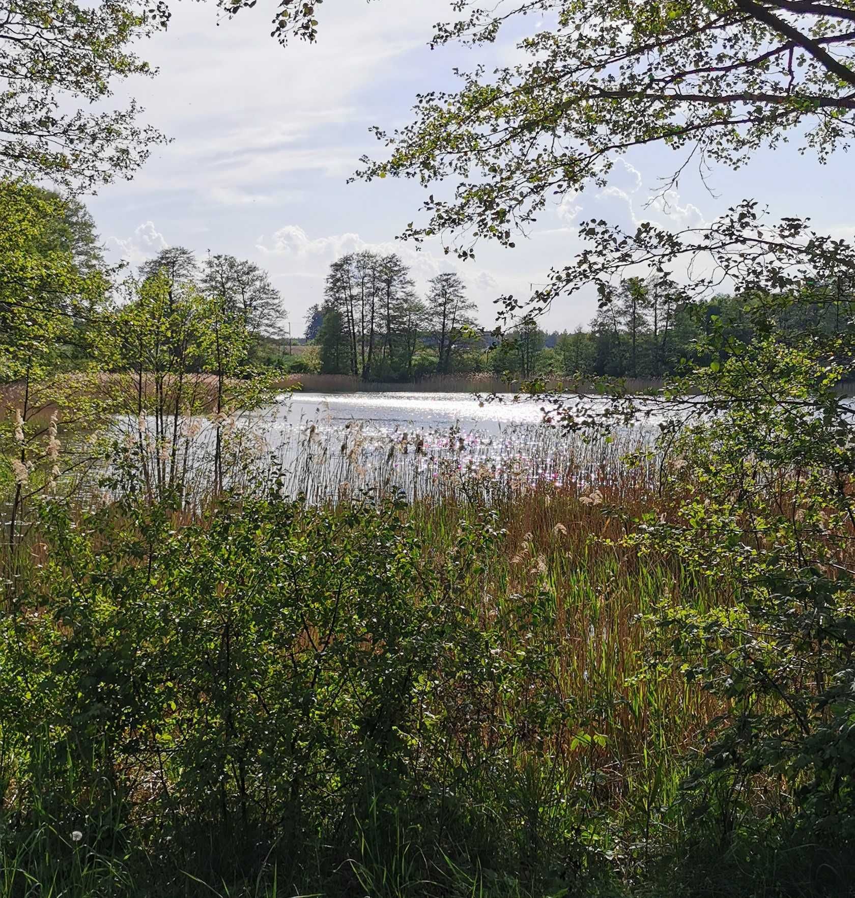 Działka nad jeziorem Czaple Nowe/Lubień Kujawski 998 m2