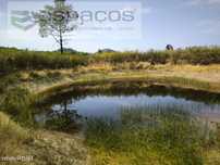 Quinta com 2 poços e barragem - Juncal do Campo