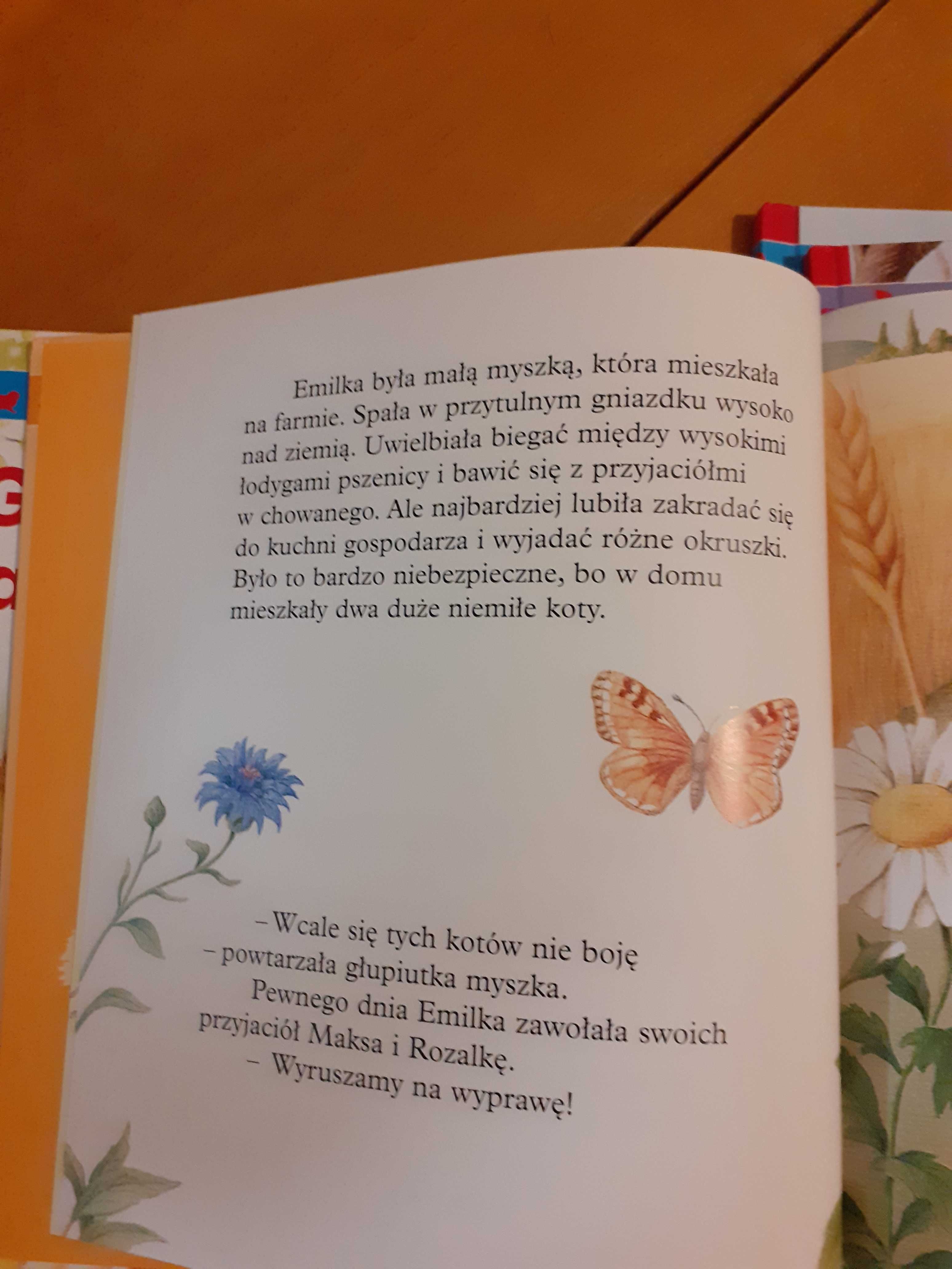 Książki z serii Przygody małych zwierzątek 4 szt.