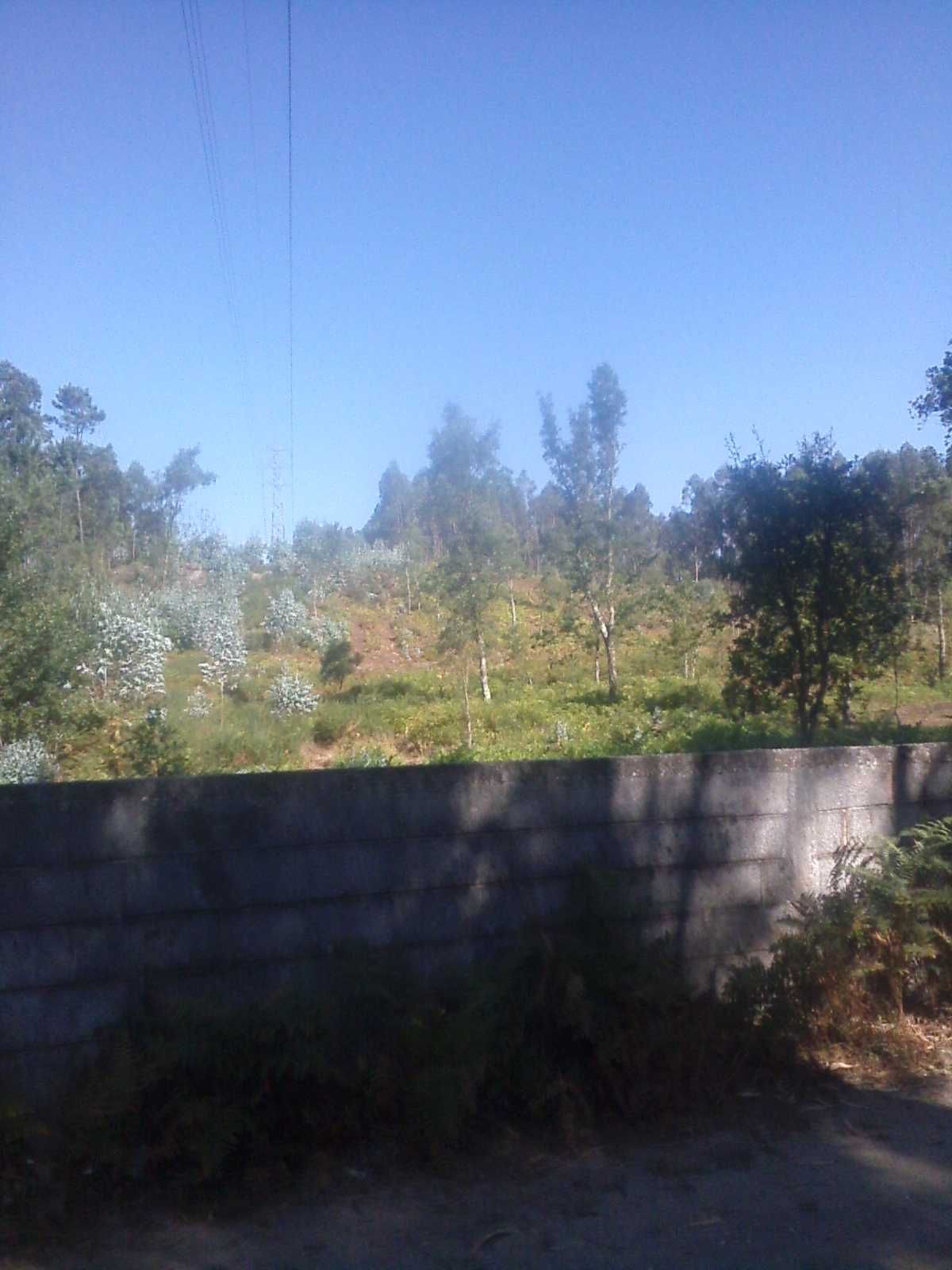 Terreno para Moradia no Monte Castro