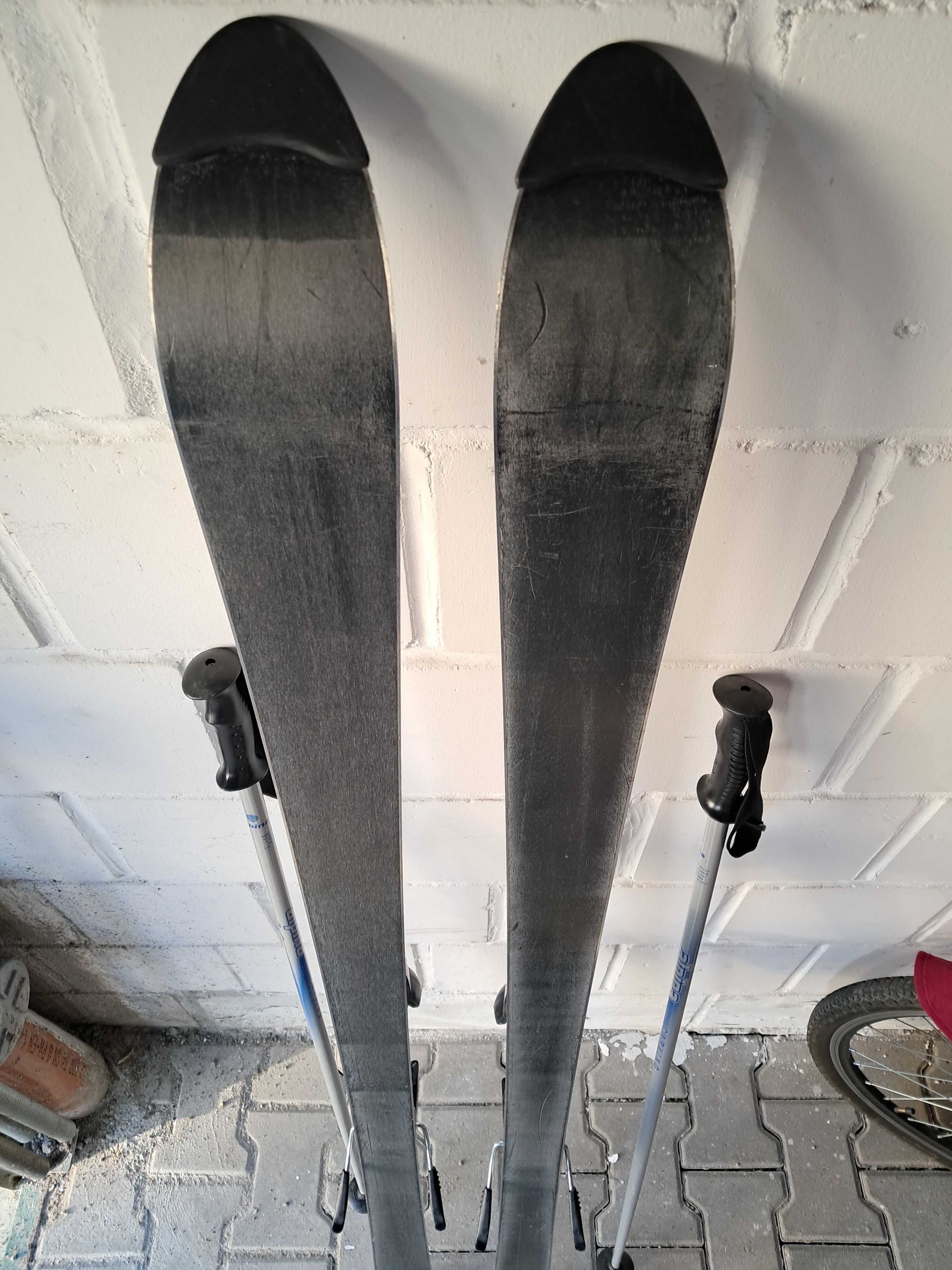 Narty Elan Carve Inegra 2.0- 160cm, wiązania Tyrolia T6
