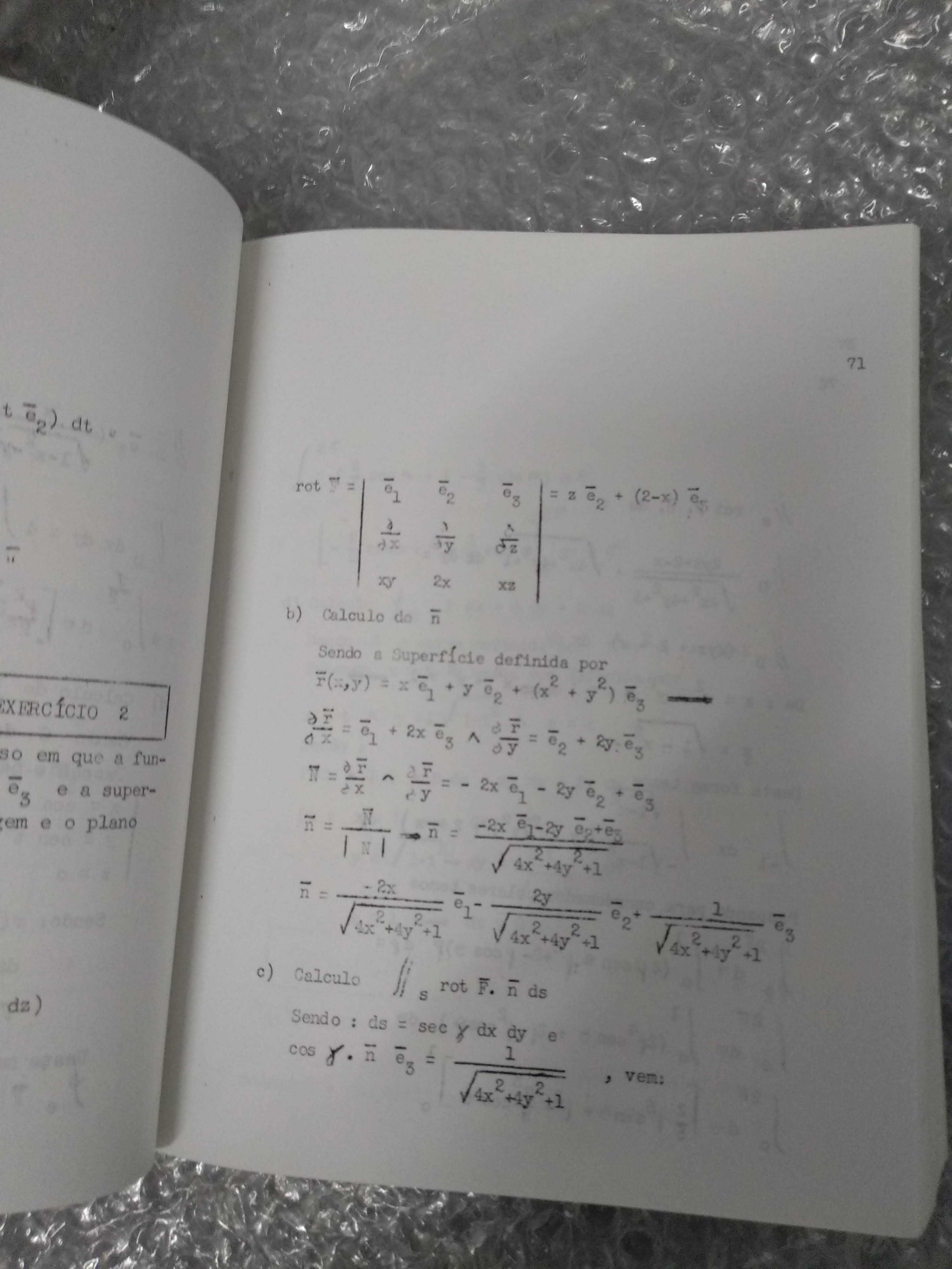 Sebenta de Matemática - Equações Diferenciais. Fernando Borja Santos
