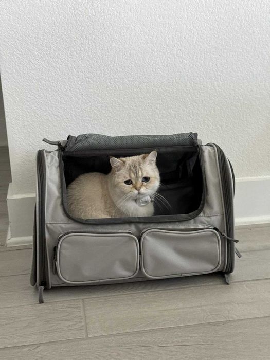 Torba transportowa transporter dla psa kota do samolotu