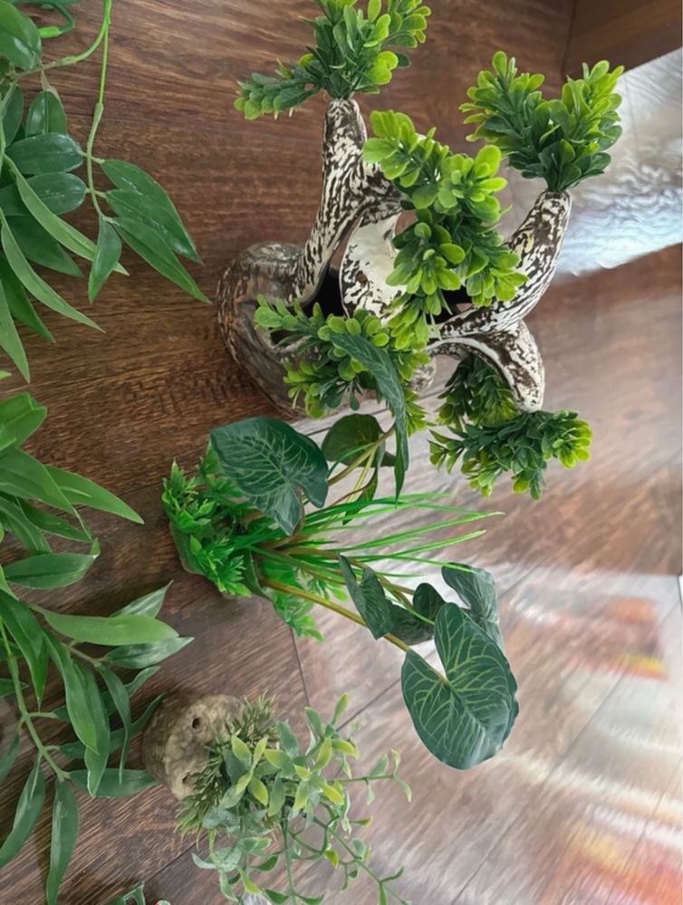 Zestaw akcesoriów do terrarium torf liście gałązki termometr
