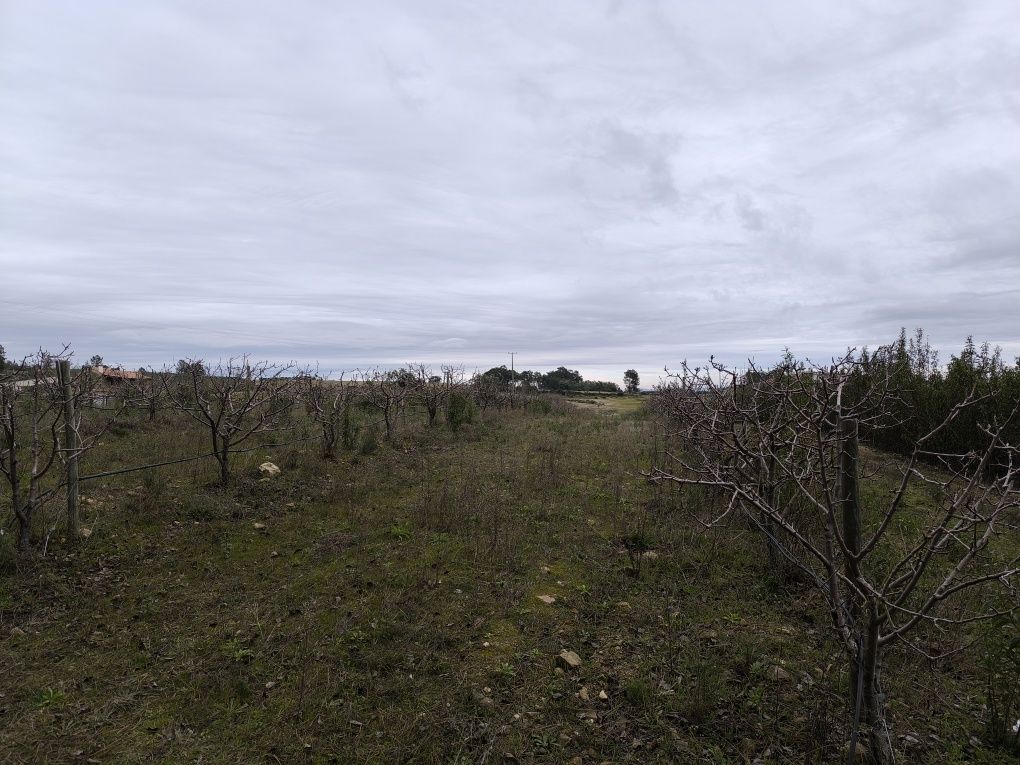 Terreno 8400m2,  com ruina granito, Catrão, Vale de Prazeres