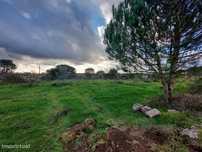 Terreno Para Construção  Venda em Paranhos,Seia