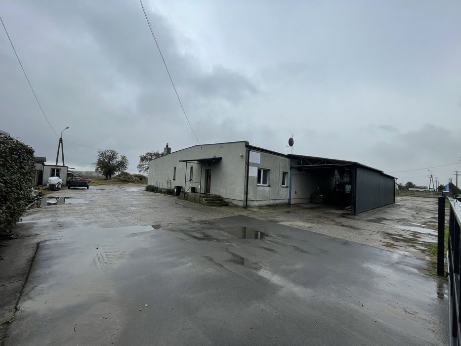 Do wynajęcia budynek inwentarski 1350 m2 - chlewnia /magazyn/ hala