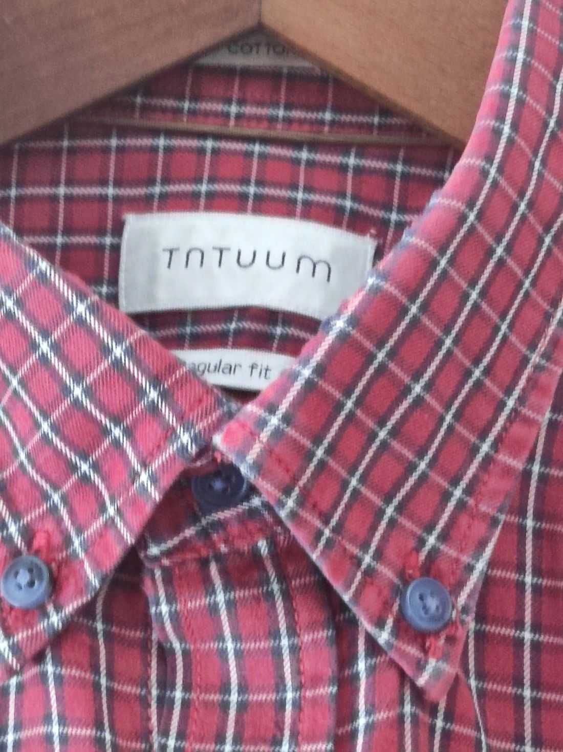 L/XL Tatuum koszula casual męska z kołnierzykiem regular fit slim