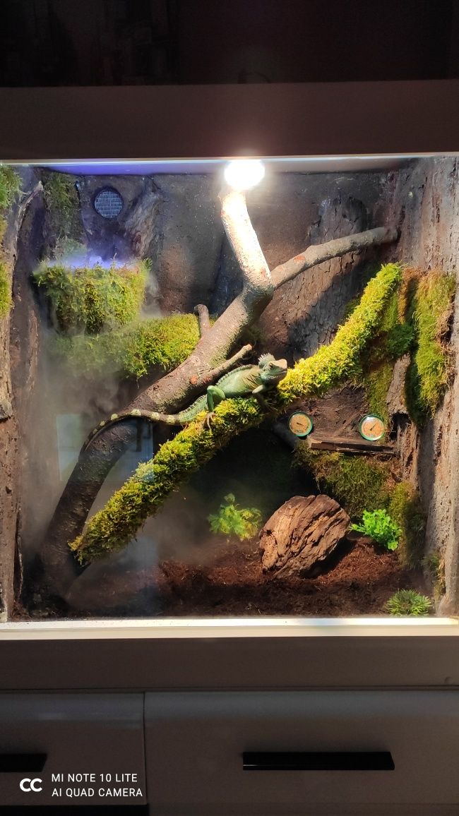 Terrarium 150x53x80