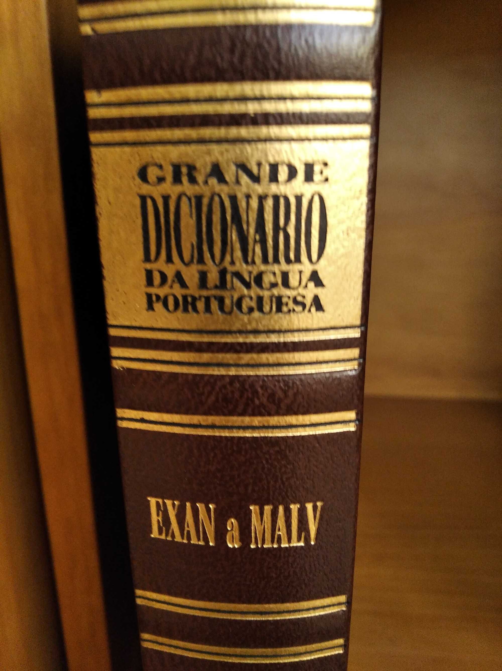 Coleção de 6 volumes de dicionários portugueses
